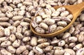 Haricot beans in a wooden spoon on wooden background Royalty Free Stock Photo