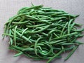 Haricot vert bean