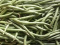 Haricot vert