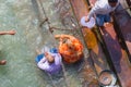 Haridwar, India - March 11, 2017: unidentified people bathing and taking ablutions in the Ganges River at the Holy ghats in Haridw Royalty Free Stock Photo