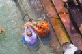 Haridwar, India - March 11, 2017: unidentified people bathing and taking ablutions in the Ganges River at the Holy ghats in Royalty Free Stock Photo