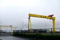 Harland & Wolff Heavy Industries, Belfast, Northern Ireland Royalty Free Stock Photo