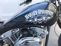 Harley Davidson black motorcycle with pirat scull and crossbones painted on the fuel tank. Part in trade war between USA and Europ