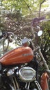 Harley davidson 1200cc camping touring Royalty Free Stock Photo