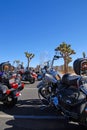 Harley Davidson motorcycles in the Joshua Tree desert