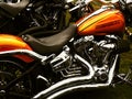 Harley Davidson motorcycles are among the rock`s best motorcycles with a very interesting design