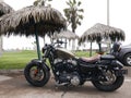 Harley Davidson Sportster Forty-Eight parked in Lima