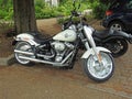 Harley davidson superbike motorcycle 114 cubic inch v twin engine