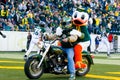 Harley Motorcycle Entrance at Autzen Stadium Royalty Free Stock Photo