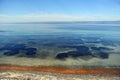 A harmful algal bloom event, Red tide Royalty Free Stock Photo