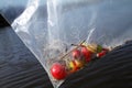 Harmful Fishing Debris in Plastic Bag