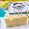 Harmful food additives. In the cheese are signs with the code E-supplements. Next On the table are flasks and a notebook with