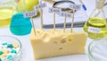 Harmful food additives. In the cheese are signs with the code E-supplements. Next On the table are flasks and a notebook with Royalty Free Stock Photo