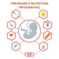 Pregnancy embryo nutrition harmful Royalty Free Stock Photo