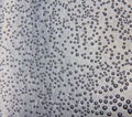 Harmonic backgrounds. Air bubbles in water bleb on bright, smooth surface Royalty Free Stock Photo