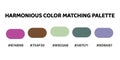 Harmonious color palette with five colors. This palette combines warm and cool tones, creating a balanced