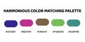 Harmonious color palette perfect for dynamic and balanced designs. deep indigo, rich pink, muted brown, vibrant lime,