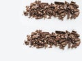 A harmonious set of delicious brown chocolate pieces