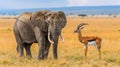 Harmonious wildlife harmony elephant and gazelle together in golden savanna at dawn