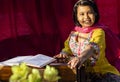 Harmonium - a hand made wooden musical instrument Royalty Free Stock Photo