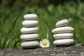 Harmony and balance, two simple pebbles towers and daisy flower in bloom in the grass, simplicity, five stones Royalty Free Stock Photo