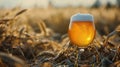 Harmony of Elements, A Golden Glass of Frothy Beer Serenely Rests Amid a Vast Verdant Field Royalty Free Stock Photo
