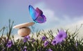 Harmony of Life Concept. Surrealist Butterfly on the Pebble Stone Stack in Garden. Metaphor of Balancing Nature and Technology. Royalty Free Stock Photo