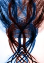 Harmony of the lift force of the wings of a bird, ribbon in the wind Abstract graphics, profti energy