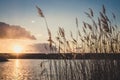 The harmony of nature. A quiet sunset over the lake in early spring Royalty Free Stock Photo