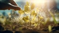 Harmony of Nature and Technology: Sustainable Seed Planting and Digital Technology Fusion in UHD Image - Generative AI