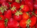 Harmony of Strawberries