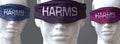 Harms can blind our views and limit perspective - pictured as word Harms on eyes to symbolize that Harms can distort perception of