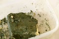 The harms of consuming green moldy cheese