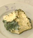 The harms of consuming green moldy cheese