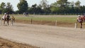 Harness Horse With A Jockey Trots To The Finish