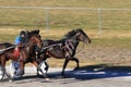 Harness racing