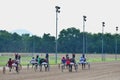 Harness racing in Budapest, Hungary on summer of 2021