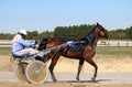 Harness racing at the Hippodrome