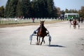 Harness racing at the Hippodrome