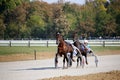 Harness racing at the Hippodrome