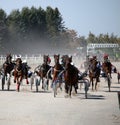 Harness racing horses in motion