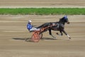 Harness racing Royalty Free Stock Photo