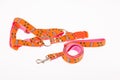 Harness and straps for pets