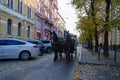 Harnessed horses in a carriage jump through the city of Lviv