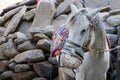 Harnessed riding horse in a leather protective muzzle from mosquito bites, stands near a pile of white stones. Royalty Free Stock Photo