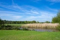 Harnham Water Meadow, Salisbury, England Royalty Free Stock Photo