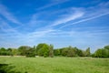Harnham Water Meadow, Salisbury, England Royalty Free Stock Photo