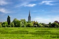Harnham Water Meadow, Salisbury, England Royalty Free Stock Photo