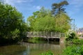 Harnham Water Meadow, Salisbury, England Royalty Free Stock Photo