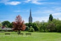 Harnham Water Meadow, Salisbury, England Royalty Free Stock Photo